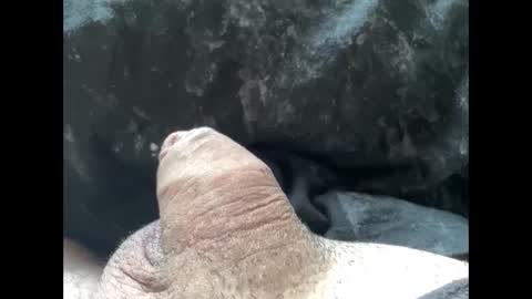 Snapshot of mikke332 chatting on 02.10.25 mikke332 online show from 02.10.25