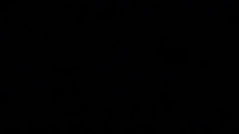 Mila online show from 11.10.25