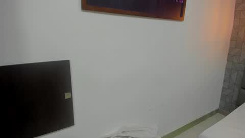 Snapshot of mile_u chatting on 02.02.25 Milena online show from 02.02.25