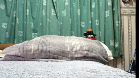 milfy72 online show from 01.30.25