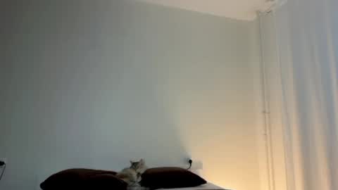 milky__way_ online show from 01.10.26