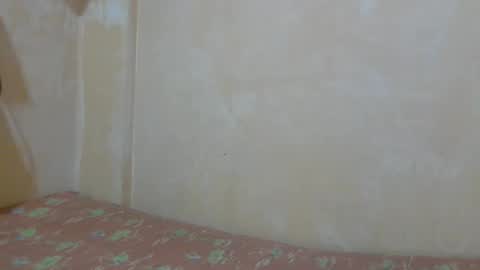 Im Ping online show from 01.11.26