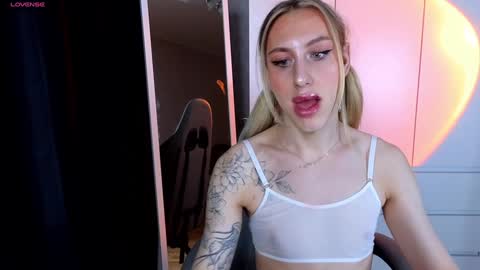 Snapshot of miraraid chatting on 12.17.24 miraraid online show from 12.17.24