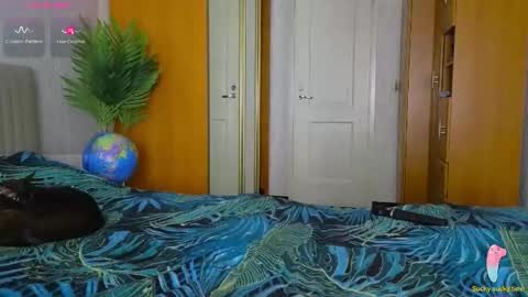 Laura online show from 12.02.25