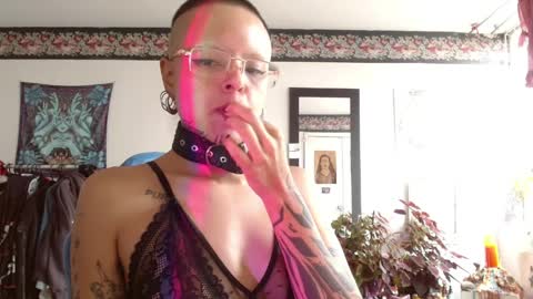 Anarkitten  online show from 04.09.26