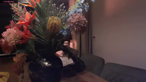 Miss conly online show from 01.16.26