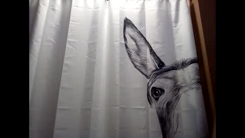 MissEeva online show from 12.19.24