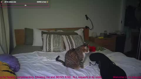 missemmbeex online show from 03.02.26