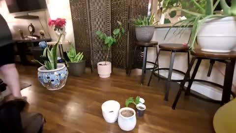 Snapshot of missjuicypeaches chatting on 01.21.25 Bhadbarbie online show from 01.21.25