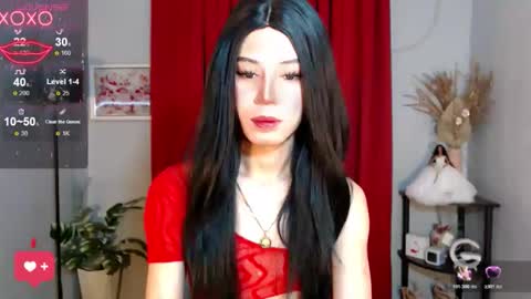 Stella online show from 11.17.25