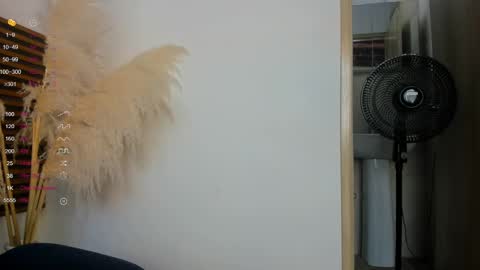 Snapshot of missvalery1 chatting on 01.14.25 missvalery1 online show from 01.14.25