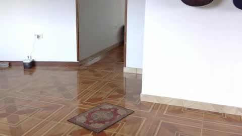 misternocturne online show from 04.20.26