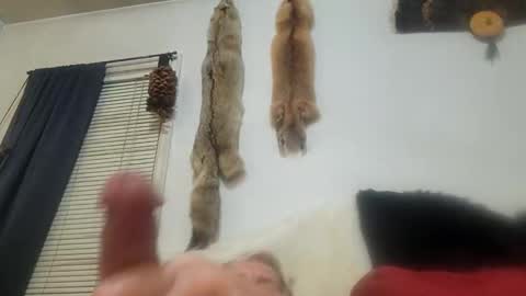 cum show j online show from 03.03.25