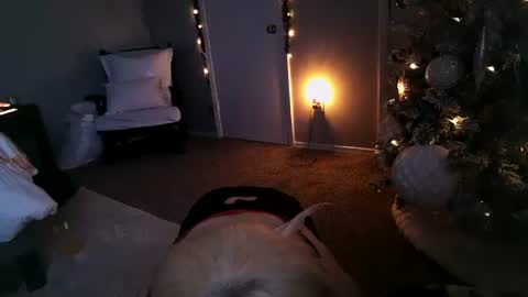 Snapshot of mmmmmwah chatting on 12.11.24 Angel online show from 12.11.24