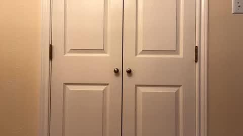 modest6969 online show from 09.08.25