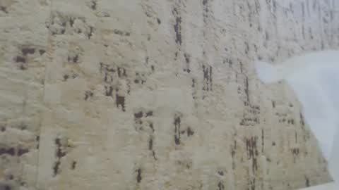 Mohito200711 online show from 01.21.25