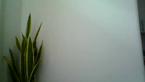 Snapshot of mollypepe chatting on 09.09.25 mollypepe online show from 09.09.25