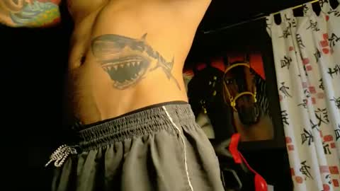 Molotov online show from 11.19.25