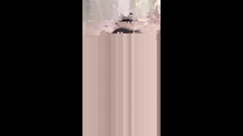 shirybeb online show from 01.08.26