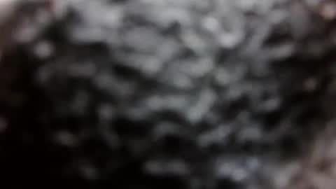 BouncyBoner online show from 09.08.25