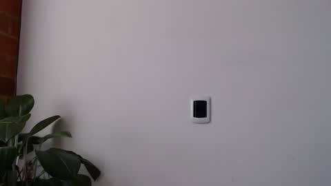 Abelardo online show from 03.28.26