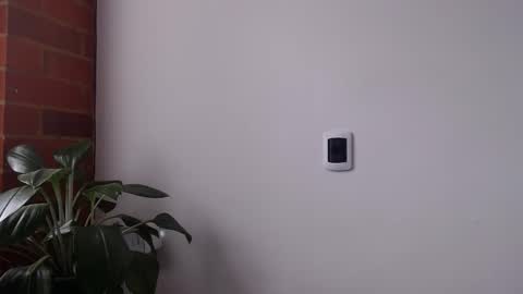 Abelardo online show from 04.19.26