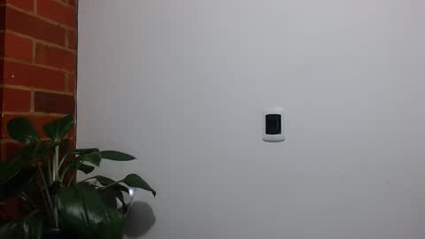 Abelardo online show from 04.20.26