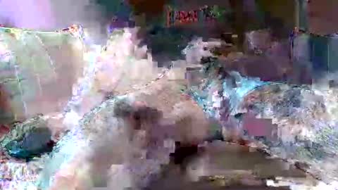 Snapshot of morboso2563 chatting on 11.21.25 morboso2563 online show from 11.21.25