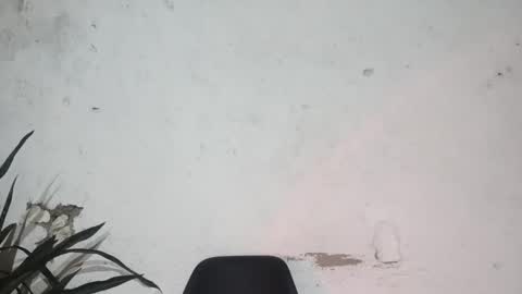 John john online show from 02.24.25