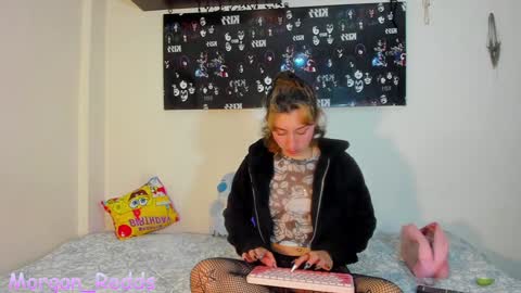 Morgan-Redds online show from 12.05.24