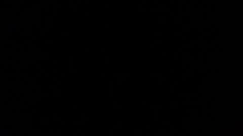 Nomadu online show from 03.01.25