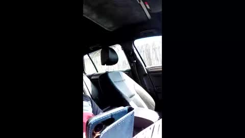 Nomadu online show from 03.14.26