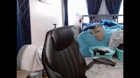 mouse_finbar online show from 03.07.26