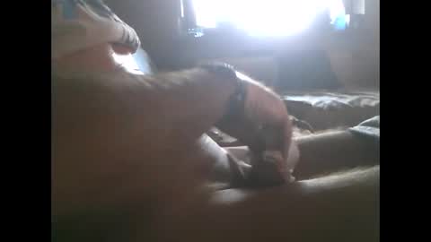 mowgli1977 online show from 12.28.24