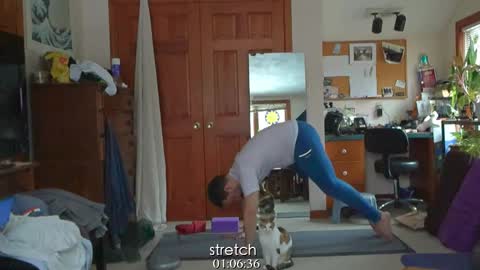 ninko online show from 01.31.25