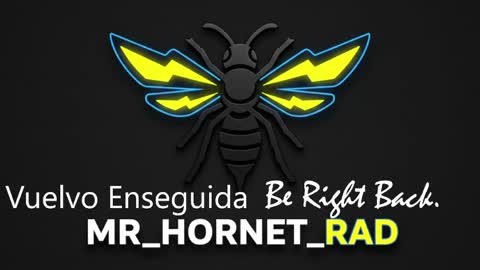 mr_hornet_rad online show from 05.04.26
