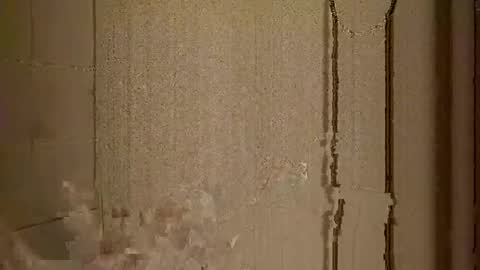 mr_i_ online show from 02.22.25