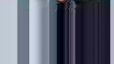 mr_i_ online show from 03.10.25