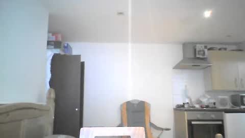 Snapshot of mralistairgoldiegmailcom chatting on 01.04.25 Professor-Perv online show from 01.04.25