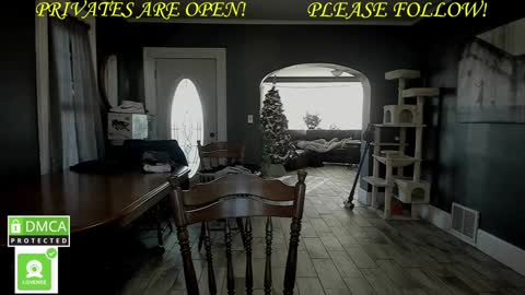 MrBrew online show from 12.01.24