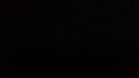 Nikola online show from 11.11.25