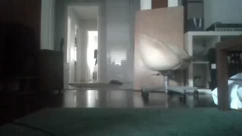 Nikola online show from 02.04.26