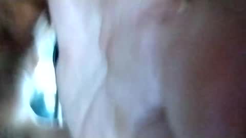 mrhotcock7inch online show from 12.27.24