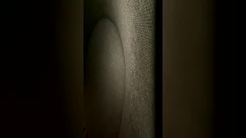 Snapshot of mrmaxxxxi chatting on 06.22.26 mrmaxxxxi online show from 06.22.26