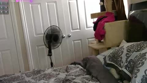 MrsJess online show from 11.17.25