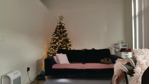 R o r i  SnapChat heyroriv2 wednesday - sunday Noon oclock mountain - 5pm mountain online show from 02.12.26