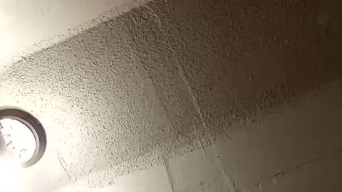 melissa online show from 01.10.26