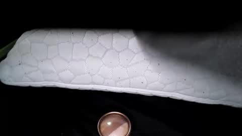 msmomy69 online show from 11.18.25