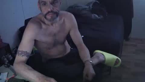 Muffdiver online show from 03.02.26