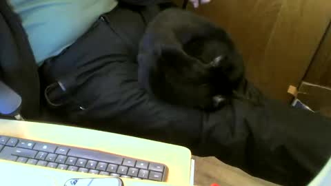 muller520 online show from 01.22.25